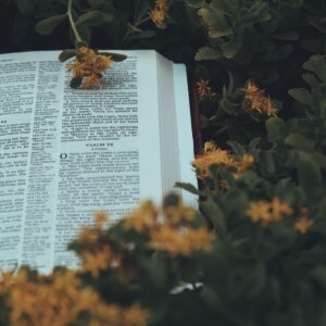 Bible with leaves