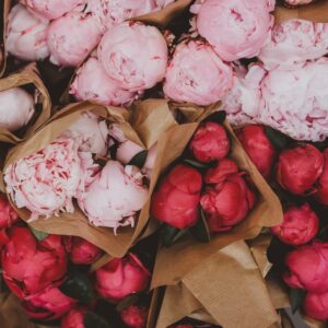 mixed peonies