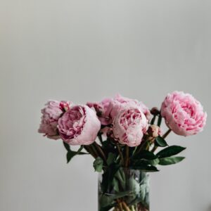 Peonies in vase