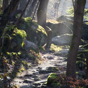 Rocky Path